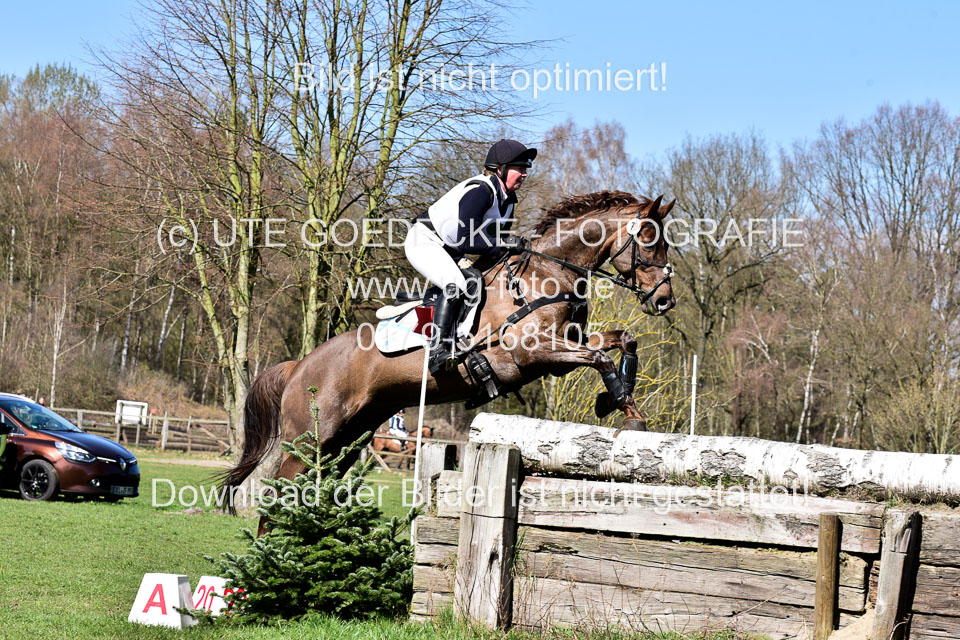 31-3-2019--Luhmühlen-CIC--_289.jpg