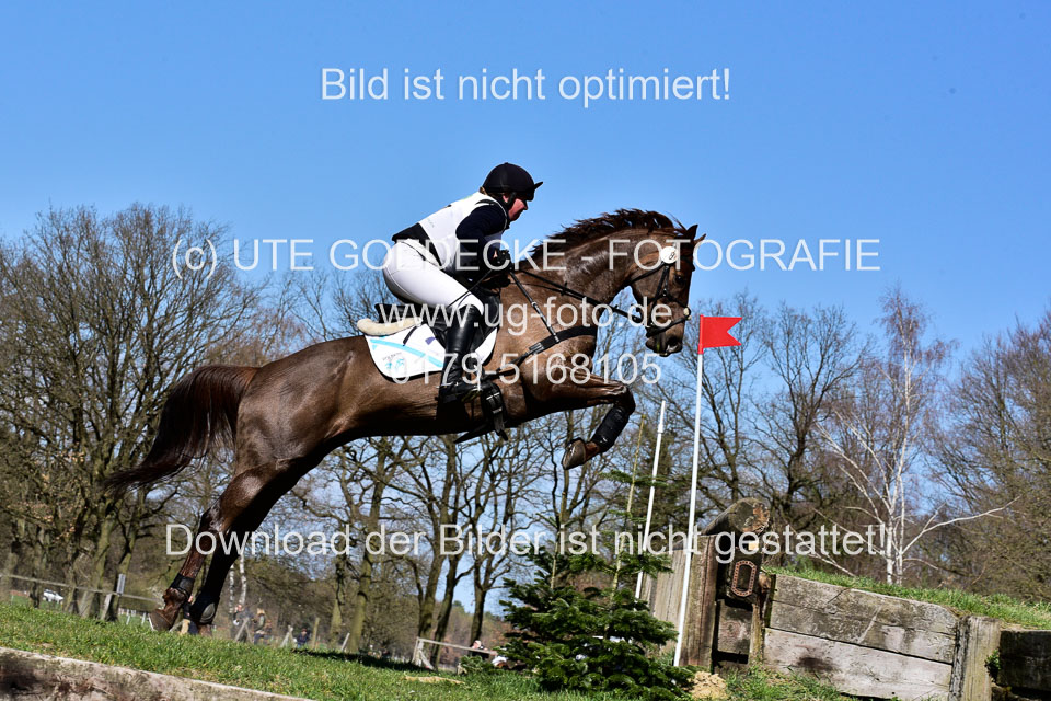 31-3-2019--Luhmühlen-CIC--_290.jpg