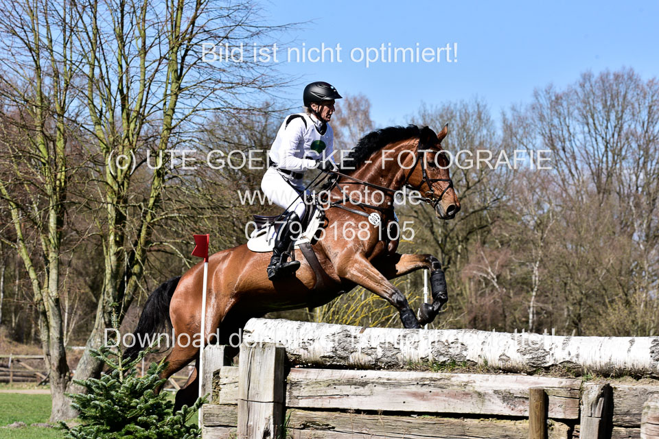 31-3-2019--Luhmühlen-CIC--_307.jpg