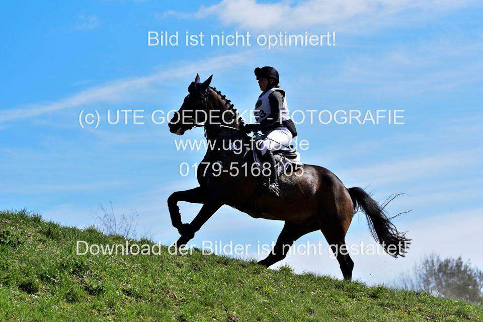 31-3-2019--Luhmühlen-CIC--_318.jpg