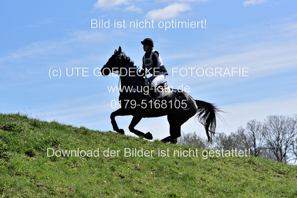 31-3-2019--Luhmühlen-CIC--_321.jpg