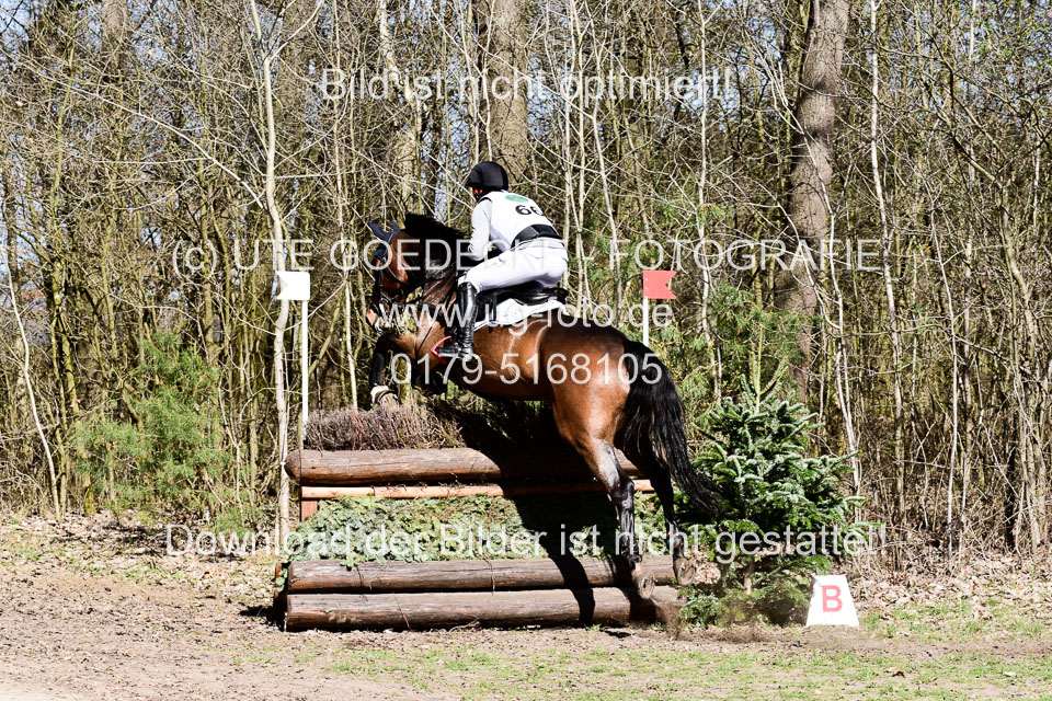 31-3-2019--Luhmühlen-CIC--_332.jpg