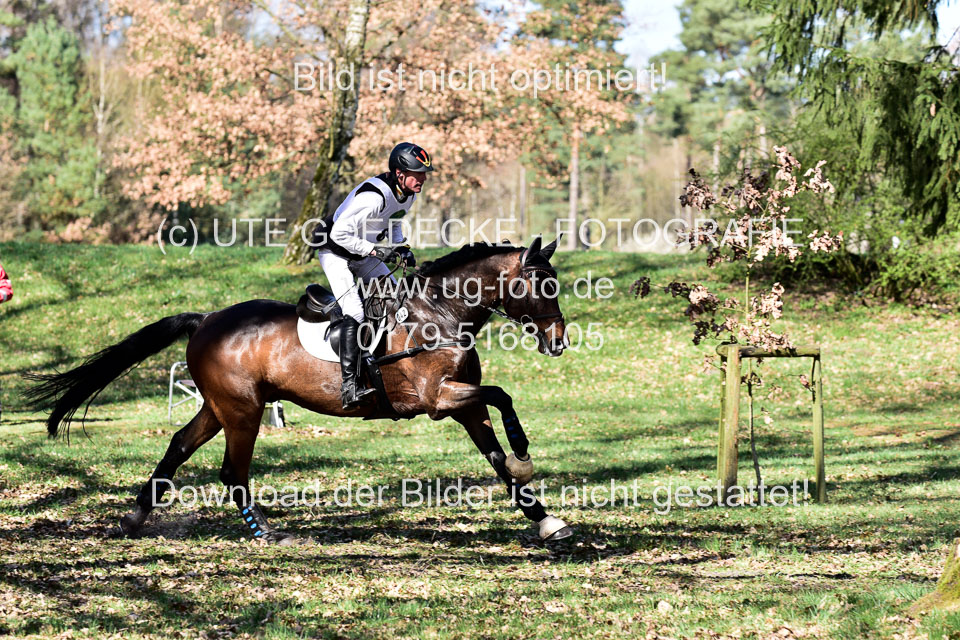 31-3-2019--Luhmühlen-CIC--_341.jpg