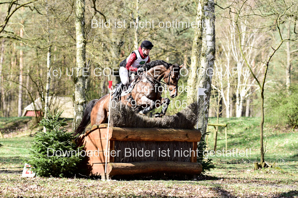 31-3-2019--Luhmühlen-CIC--_342.jpg