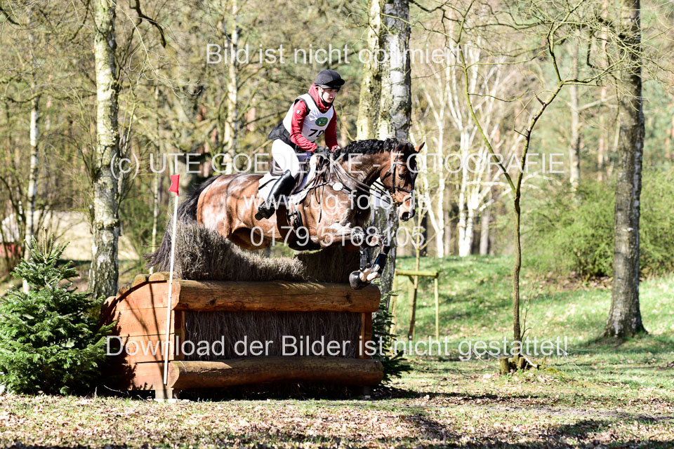 31-3-2019--Luhmühlen-CIC--_343.jpg