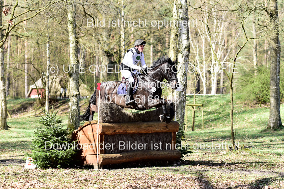 31-3-2019--Luhmühlen-CIC--_348.jpg