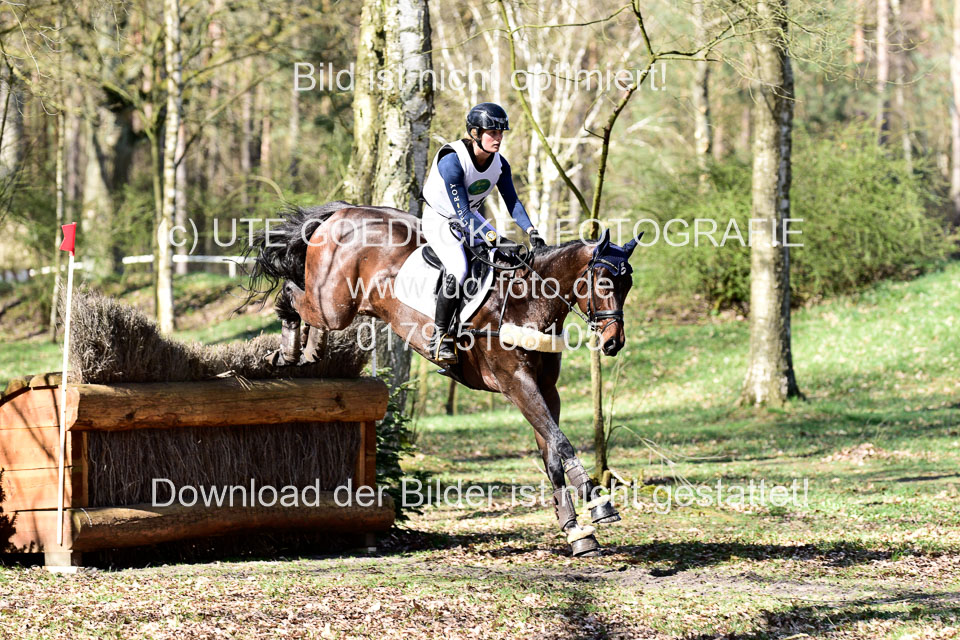 31-3-2019--Luhmühlen-CIC--_360.jpg