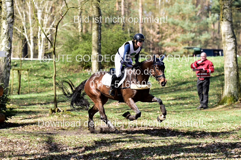 31-3-2019--Luhmühlen-CIC--_361.jpg