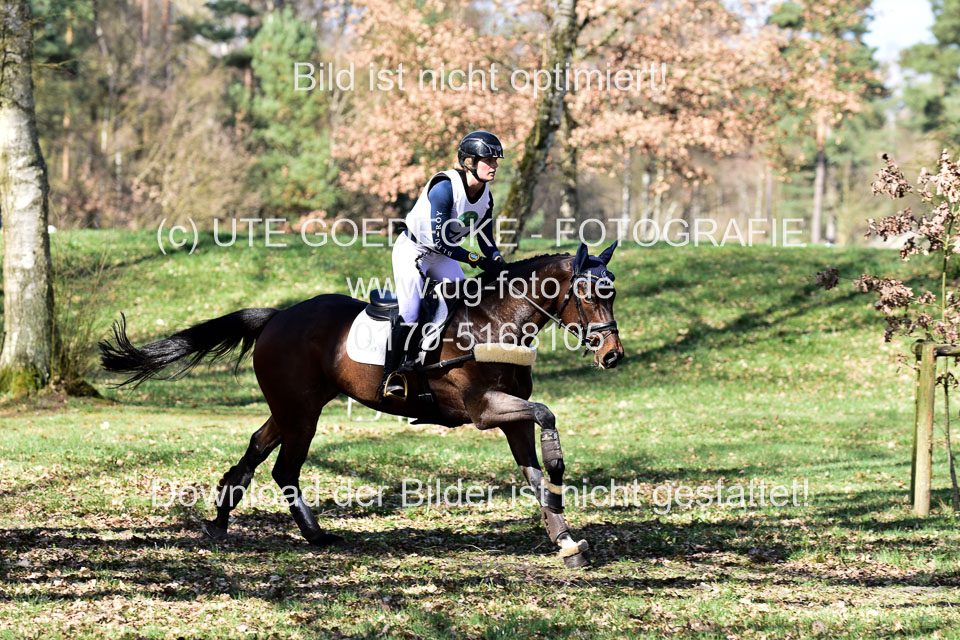 31-3-2019--Luhmühlen-CIC--_362.jpg