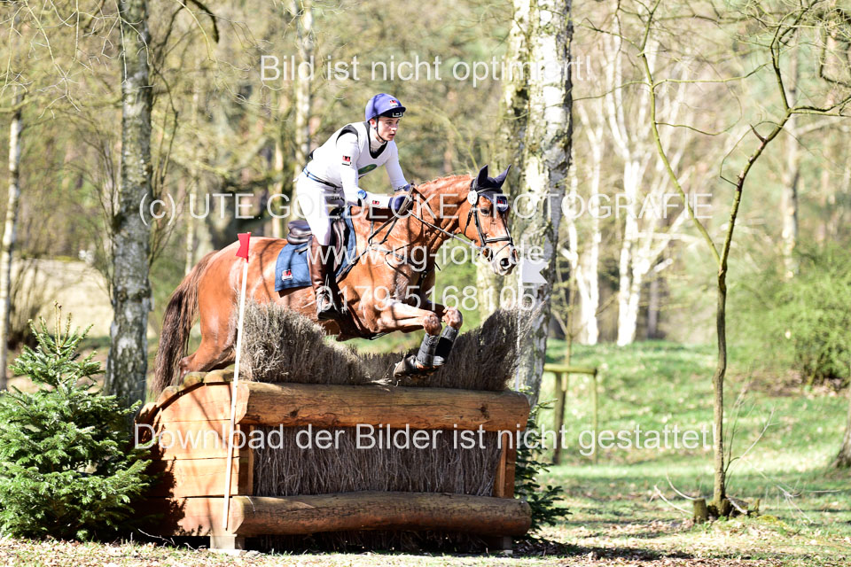 31-3-2019--Luhmühlen-CIC--_365.jpg