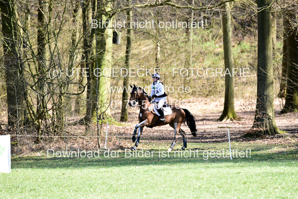 31-3-2019--Luhmühlen-CIC--_373.jpg