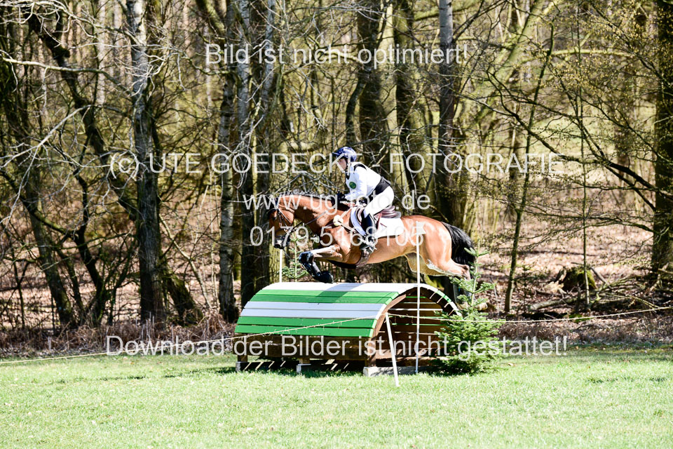 31-3-2019--Luhmühlen-CIC--_374.jpg