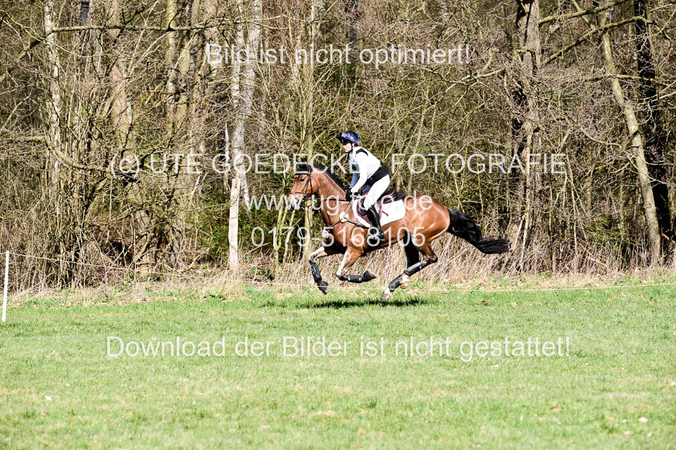 31-3-2019--Luhmühlen-CIC--_375.jpg