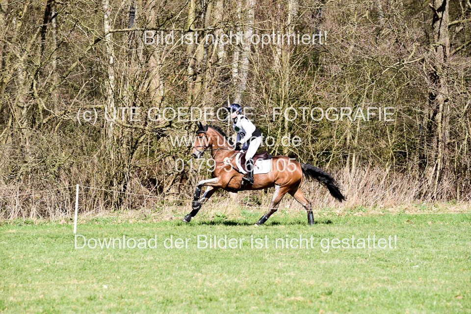 31-3-2019--Luhmühlen-CIC--_376.jpg