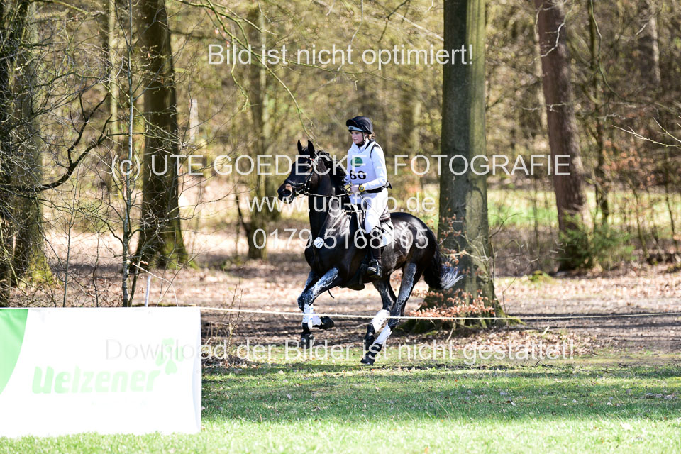 31-3-2019--Luhmühlen-CIC--_379.jpg