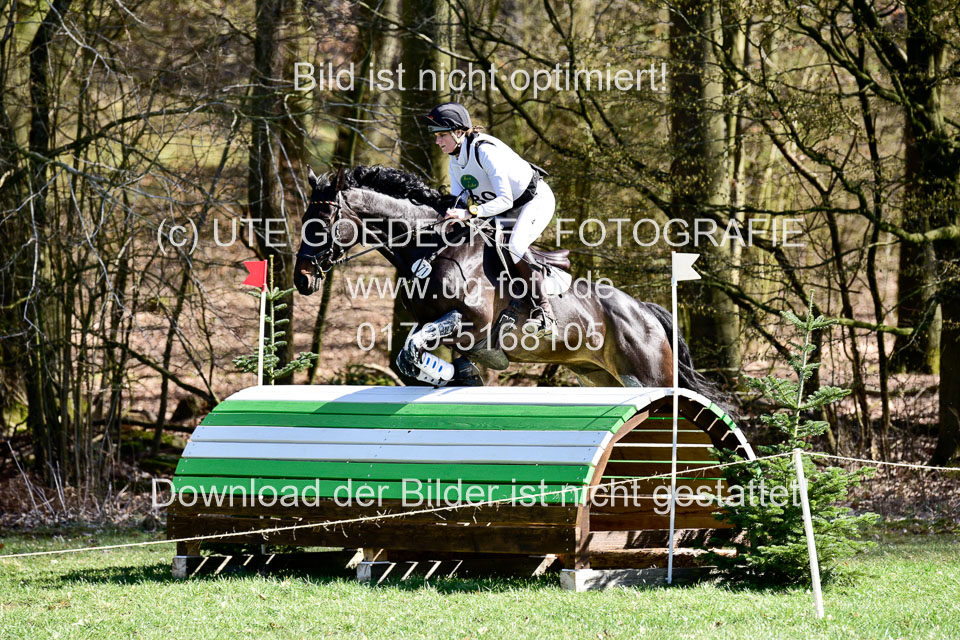 31-3-2019--Luhmühlen-CIC--_380.jpg