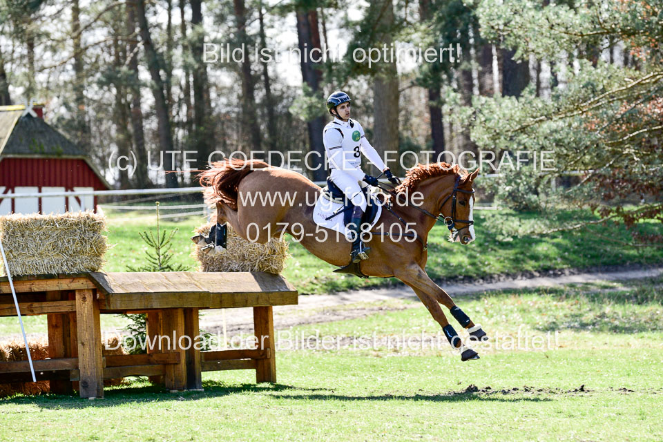 31-3-2019--Luhmühlen-CIC--_393.jpg