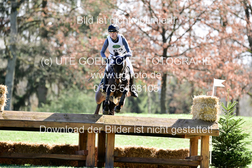 31-3-2019--Luhmühlen-CIC--_397.jpg