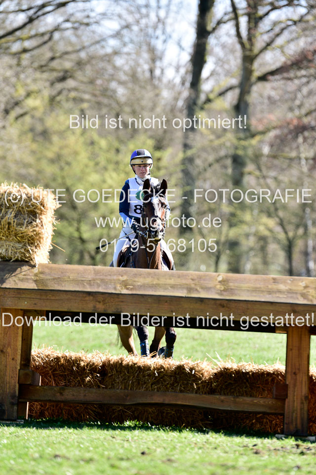 31-3-2019--Luhmühlen-CIC--_401.jpg