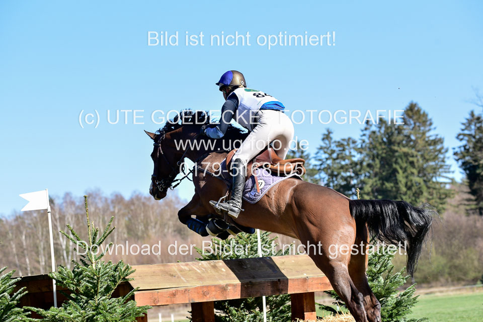 31-3-2019--Luhmühlen-CIC--_406.jpg