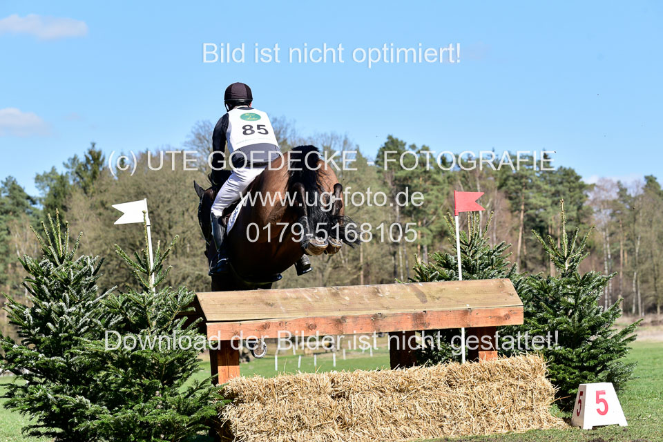 31-3-2019--Luhmühlen-CIC--_414.jpg