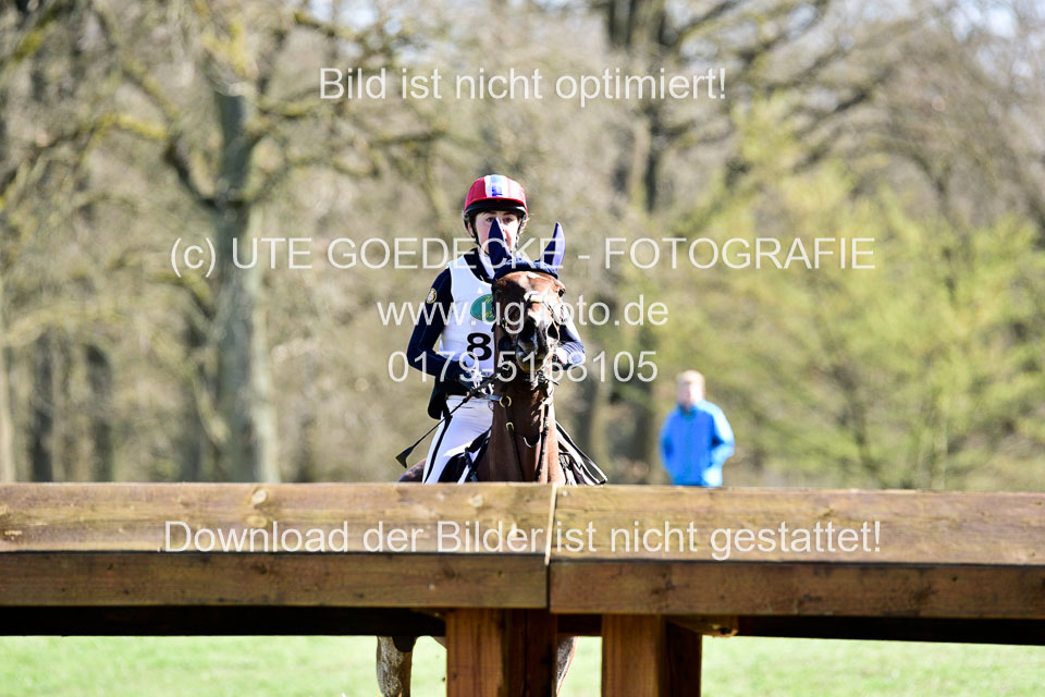 31-3-2019--Luhmühlen-CIC--_415.jpg