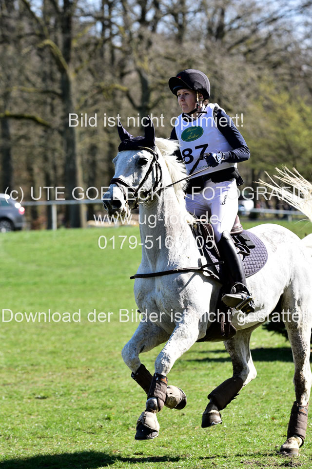 31-3-2019--Luhmühlen-CIC--_424.jpg