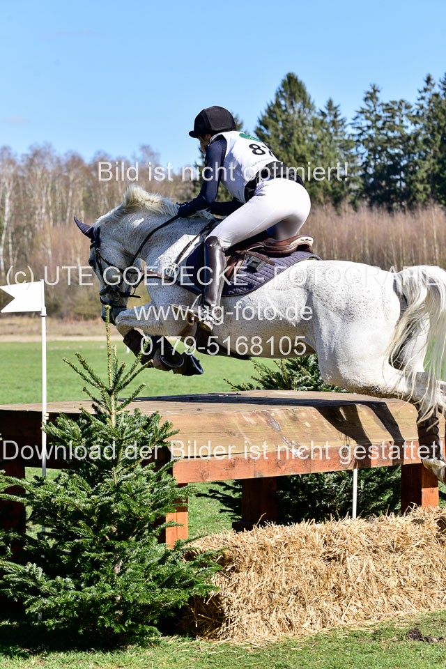 31-3-2019--Luhmühlen-CIC--_425.jpg