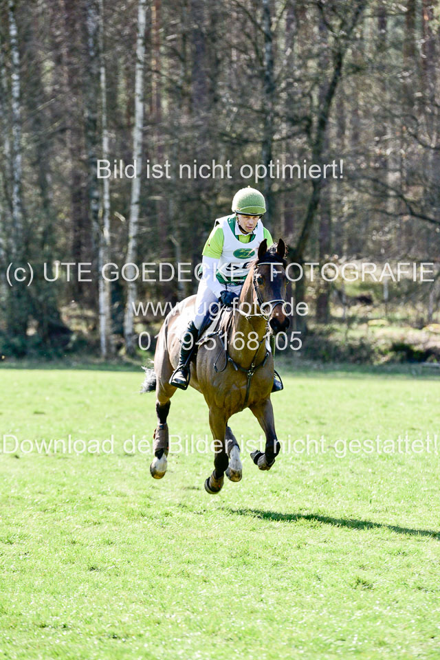 31-3-2019--Luhmühlen-CIC--_426.jpg
