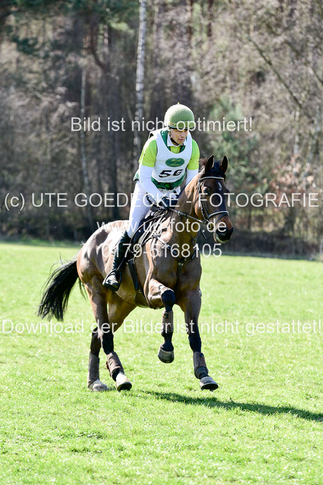 31-3-2019--Luhmühlen-CIC--_428.jpg