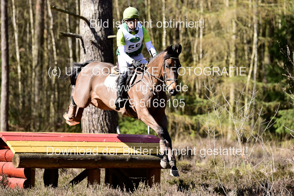 31-3-2019--Luhmühlen-CIC--_429.jpg