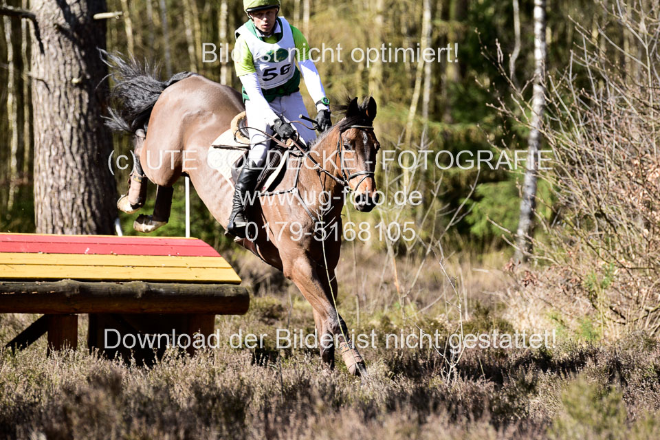 31-3-2019--Luhmühlen-CIC--_430.jpg