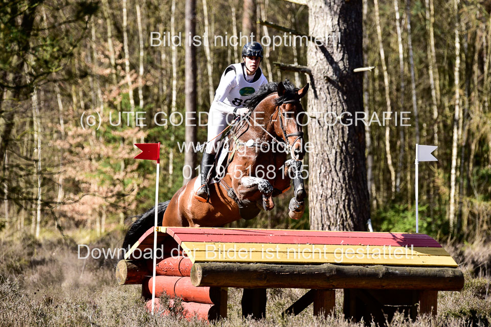 31-3-2019--Luhmühlen-CIC--_433.jpg