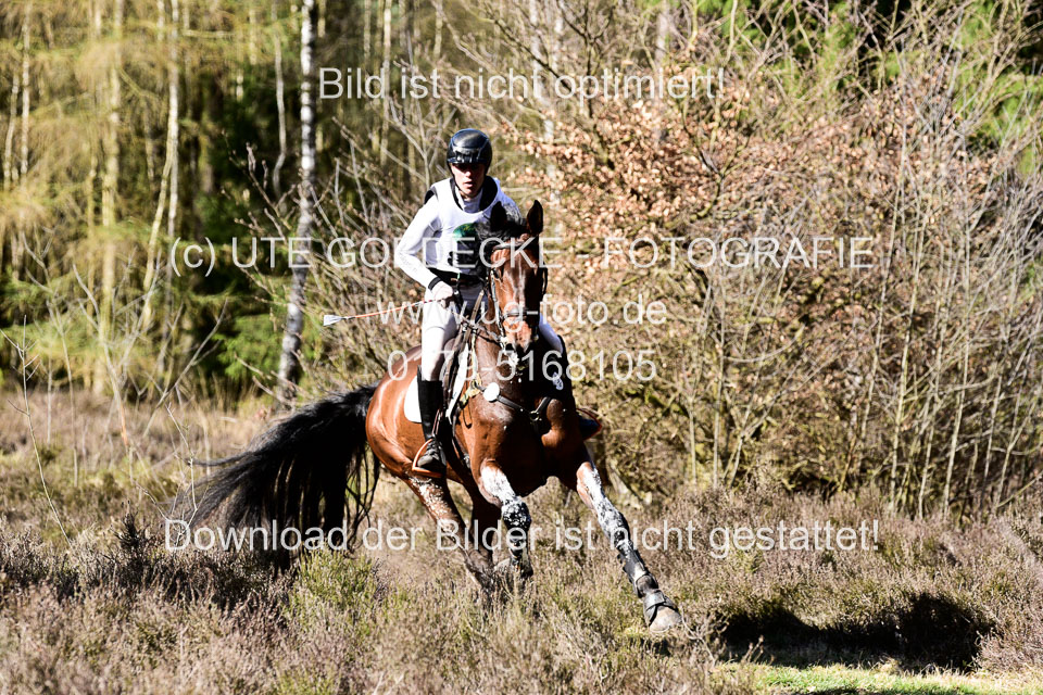 31-3-2019--Luhmühlen-CIC--_436.jpg