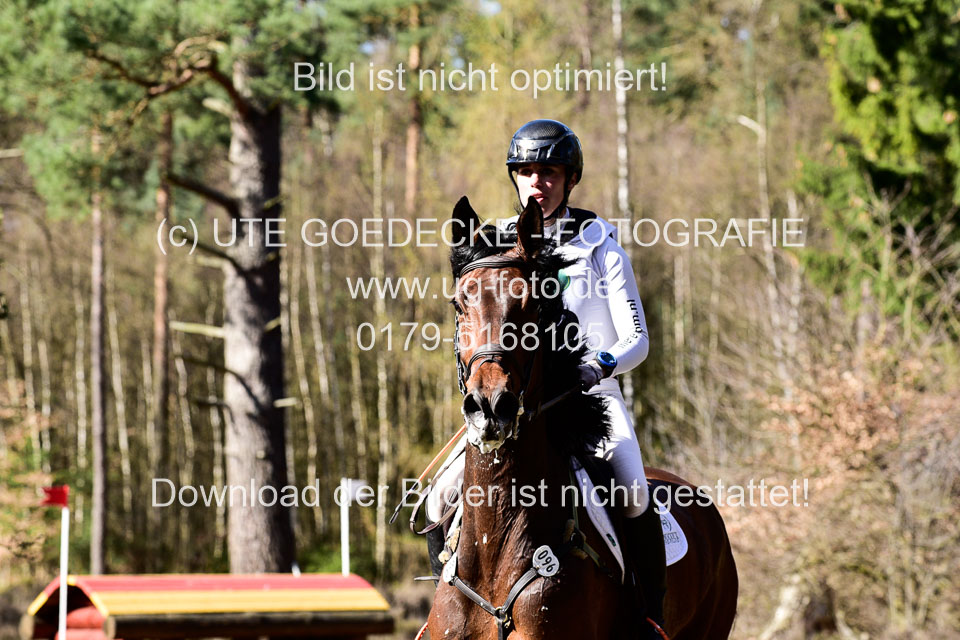 31-3-2019--Luhmühlen-CIC--_440.jpg