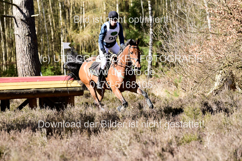 31-3-2019--Luhmühlen-CIC--_444.jpg