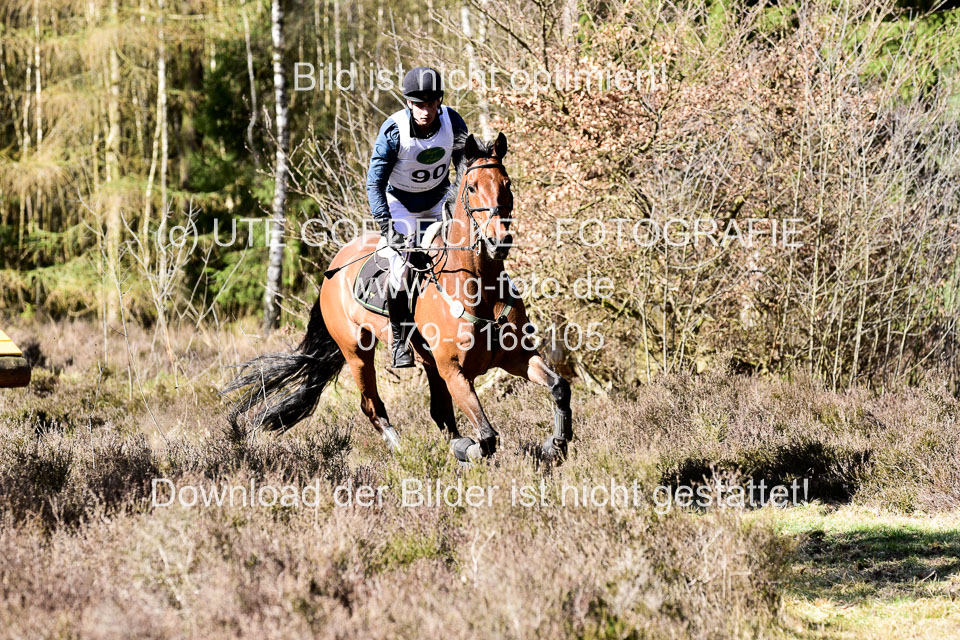 31-3-2019--Luhmühlen-CIC--_445.jpg