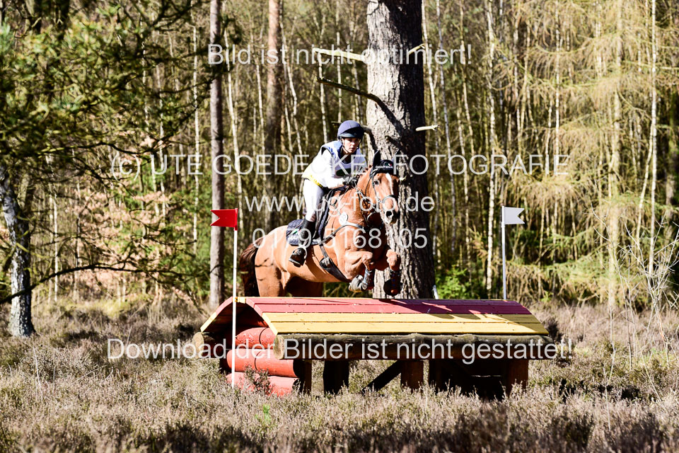 31-3-2019--Luhmühlen-CIC--_450.jpg
