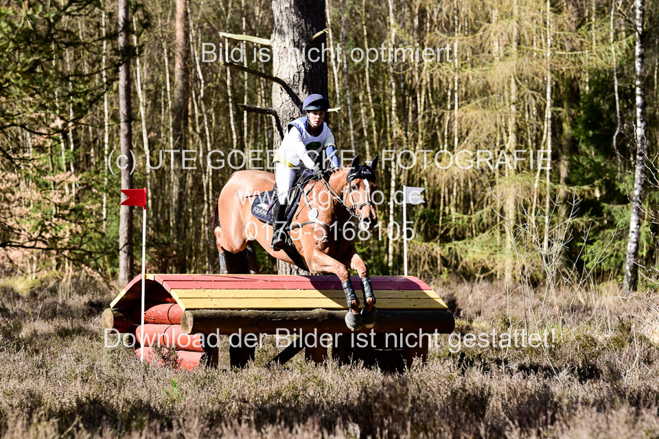 31-3-2019--Luhmühlen-CIC--_451.jpg