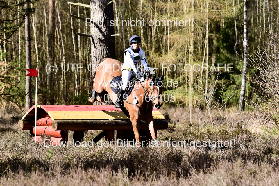 31-3-2019--Luhmühlen-CIC--_452.jpg