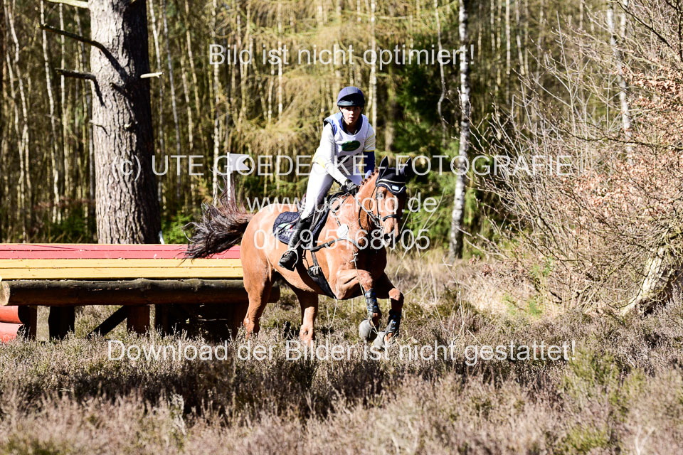 31-3-2019--Luhmühlen-CIC--_453.jpg