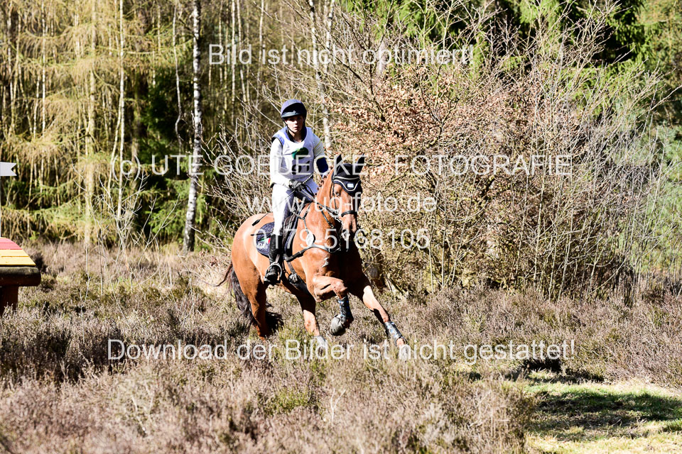 31-3-2019--Luhmühlen-CIC--_454.jpg