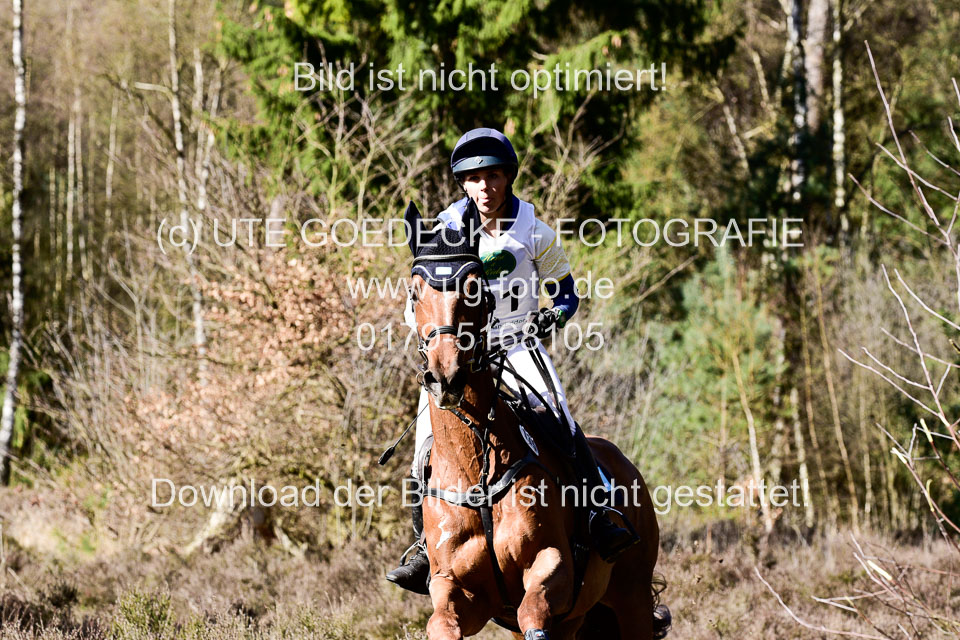 31-3-2019--Luhmühlen-CIC--_456.jpg