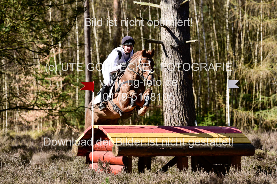 31-3-2019--Luhmühlen-CIC--_458.jpg