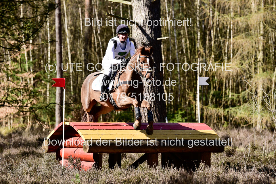 31-3-2019--Luhmühlen-CIC--_459.jpg