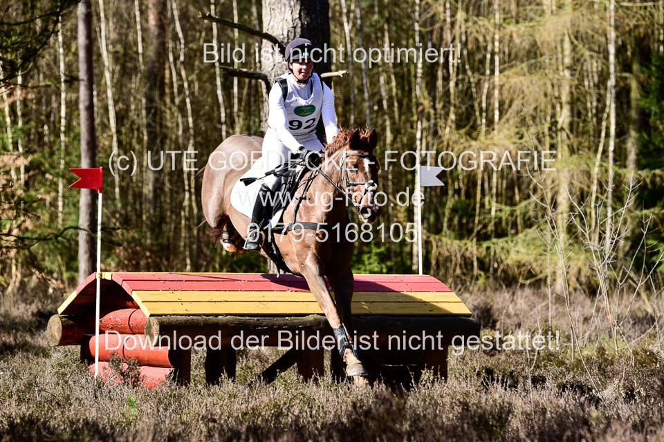 31-3-2019--Luhmühlen-CIC--_460.jpg