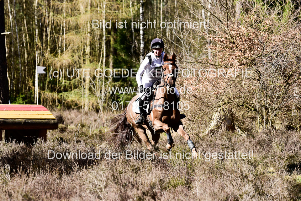 31-3-2019--Luhmühlen-CIC--_462.jpg