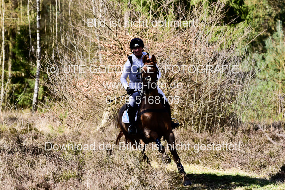 31-3-2019--Luhmühlen-CIC--_463.jpg