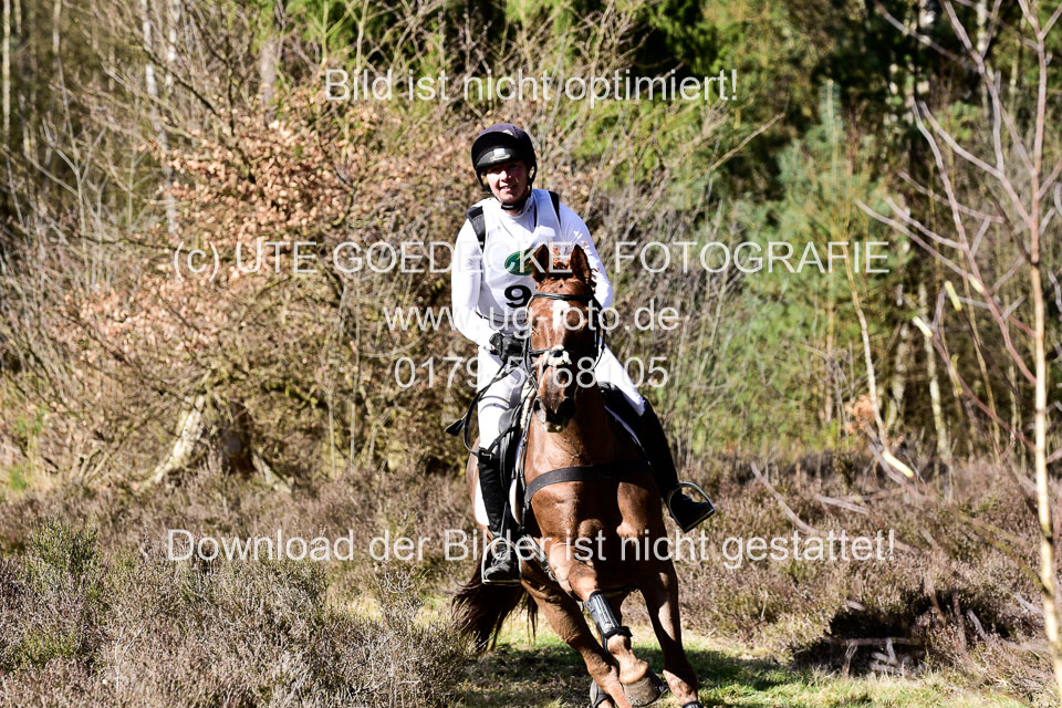 31-3-2019--Luhmühlen-CIC--_464.jpg
