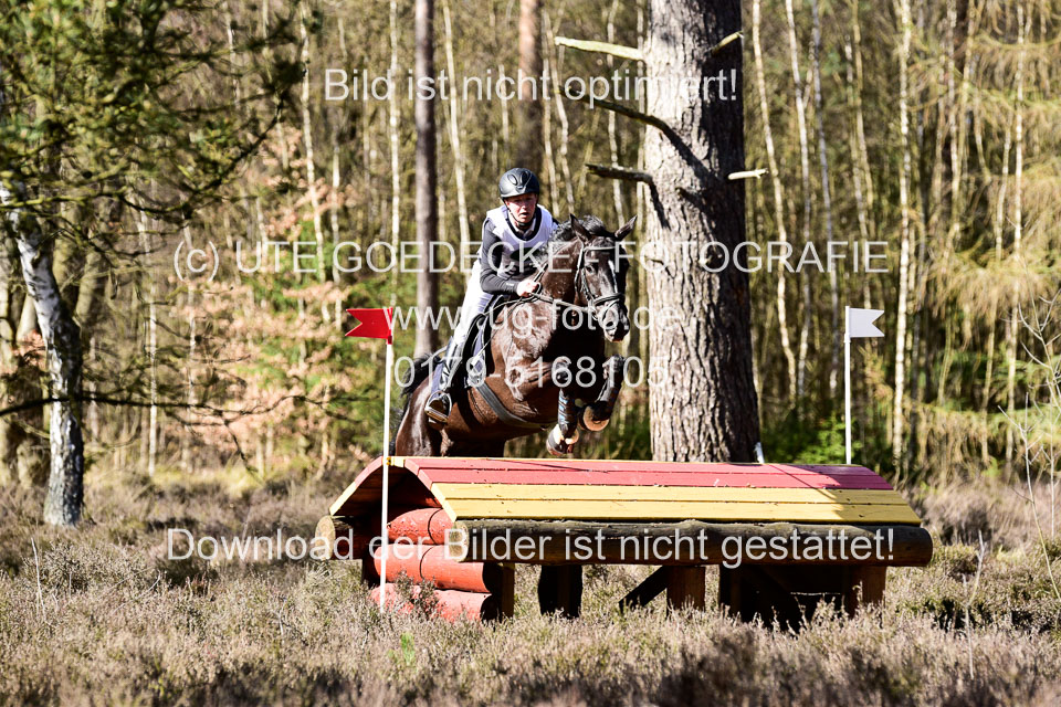 31-3-2019--Luhmühlen-CIC--_468.jpg